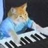 cheesedog62