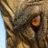 ElephantEyes